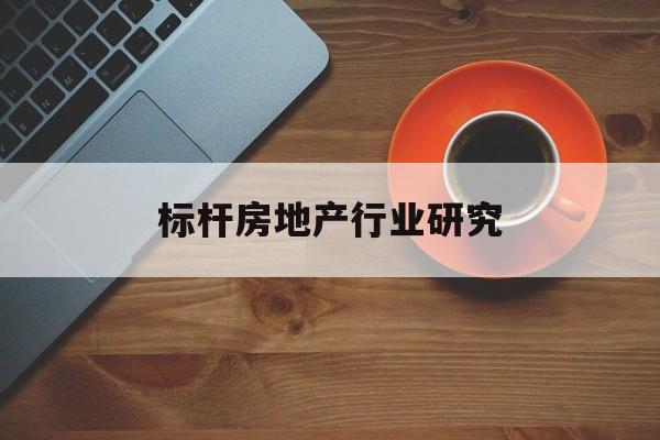 连云港市标杆房地产行业研究(房地产领域的标杆人物)