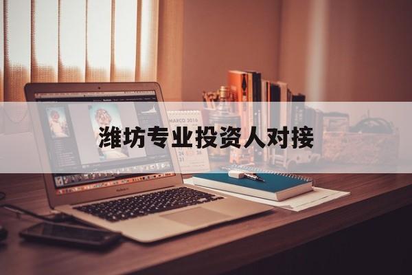连云港市潍坊专业投资人对接(潍坊专业投资人对接中心)