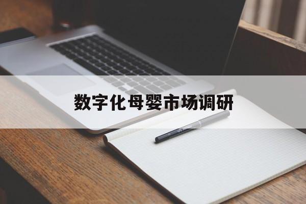 连云港市数字化母婴市场调研(数字化母婴市场调研报告)